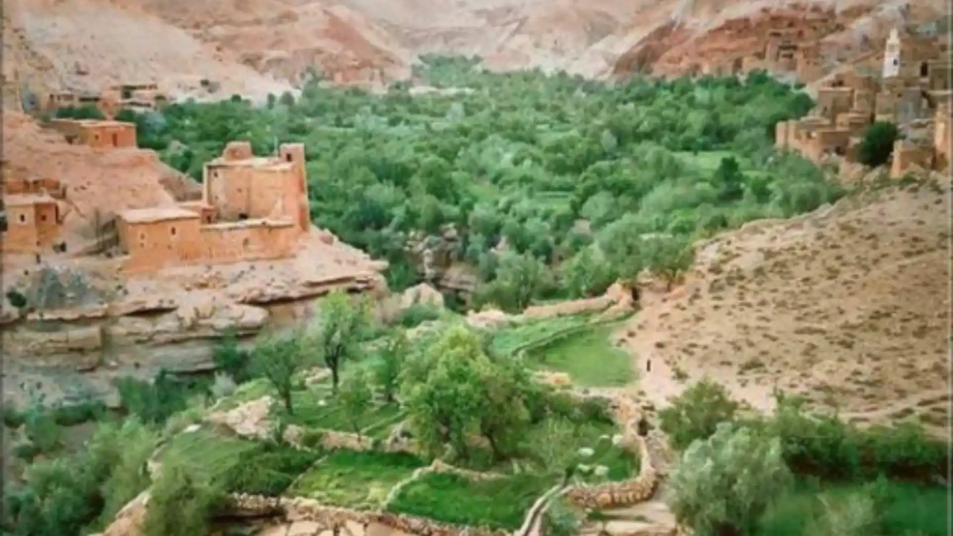 Scenic Dadès Valley in Morocco, showcasing lush oasis landscapes and traditional architecture during a Morocco Fun Tours experience.