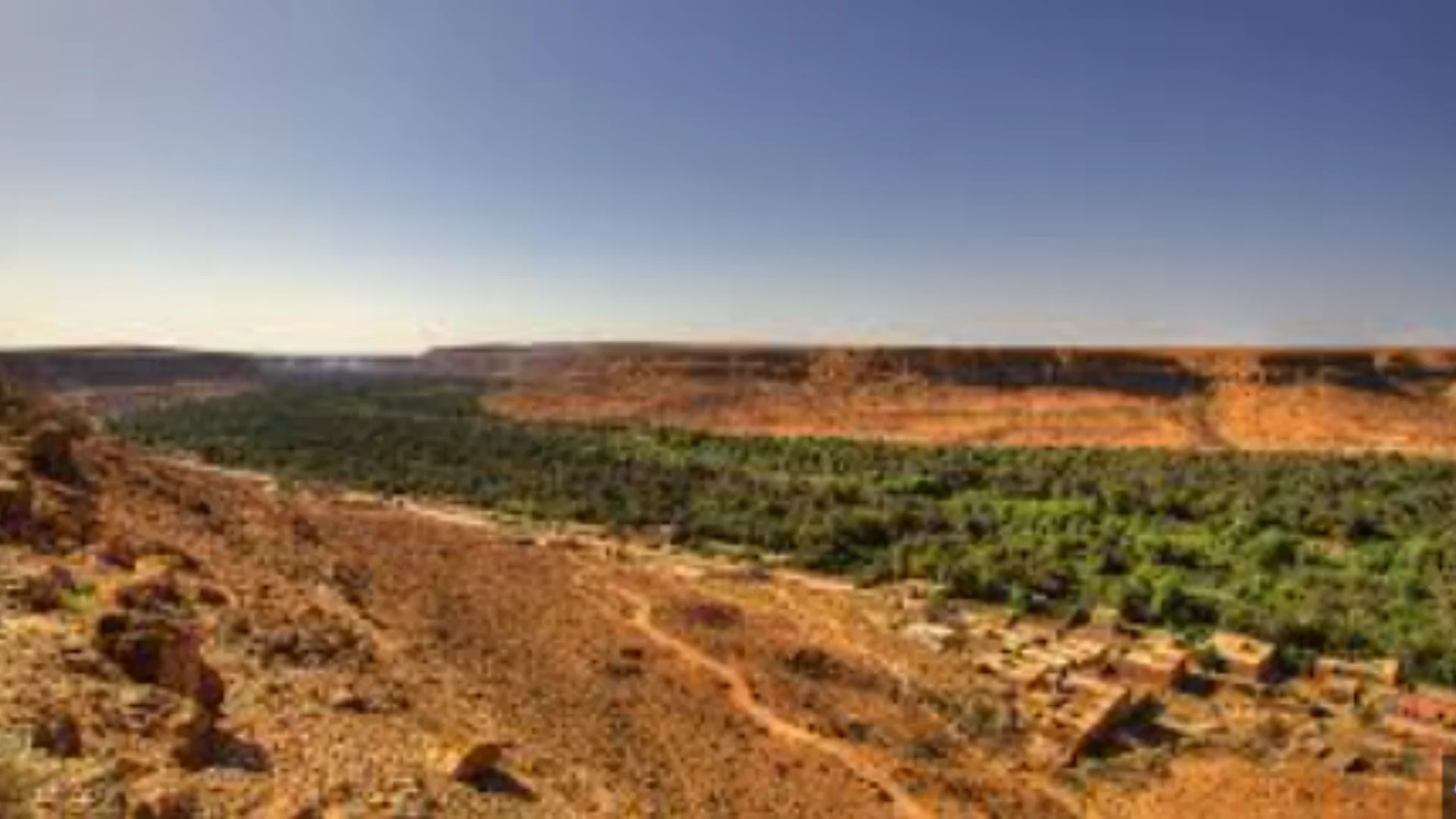 Panoramic view of Morocco’s Ziz Valley, featuring lush palm oasis and desert cliffs, highlighted in a Morocco itinerary 4 days.