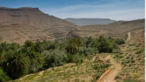 Oasis in a desert valley near Midelt, Morocco, surrounded by palm trees and arid landscapes.
