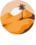 Morocco Fun Tours