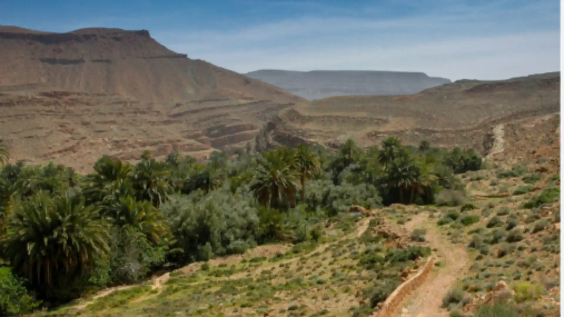 Scenic oasis in a desert valley of Midelt, Morocco, surrounded by arid landscapes and rolling hills.