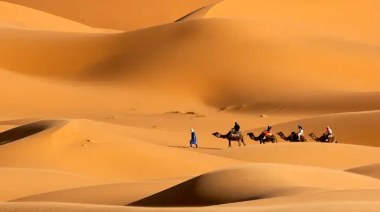 Morocco Itinerary 12 Days 42 People enjoying a camel trek across vast desert dunes, experiencing traditional desert travel and scenic landscapes commonly offered by Morocco Fun Tours.
