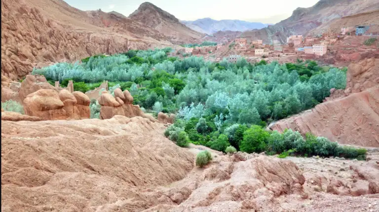 Morocco Itinerary 12 Days 44 Dadès Valley in Morocco showing a lush green oasis surrounded by dramatic rocky mountains, a scenic highlight often included in a 12 day Morocco itinerary.