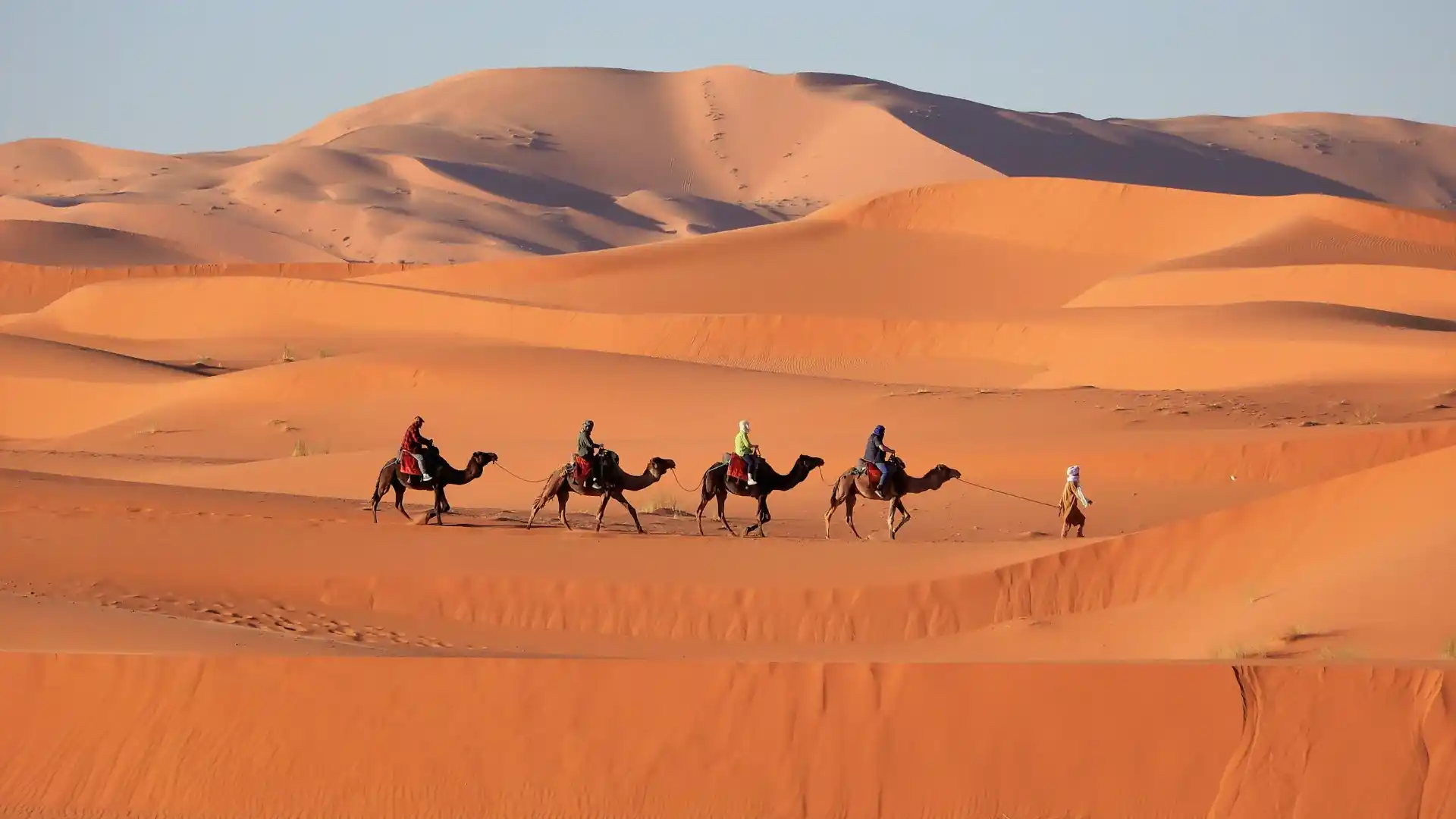 Mostra uma caravana de camelos no Deserto do Saara, em Merzouga, Marrocos.