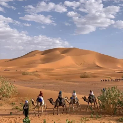 Golden sand dunes stretching across the Sahara near Merzouga with soft shadows and gentle wind shaped ridges