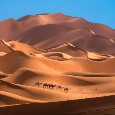morocco desert