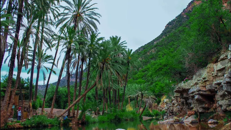 Paradise Valley oasis in Morocco’s Atlas foothills near Agadir, showcasing pools and cliffs featured in adventures with Morocco Fun Tours.