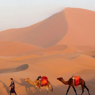 Large rolling sand dunes in Morocco with smooth ridges and natural patterns shaped by desert winds