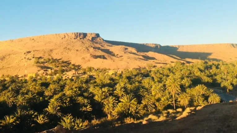 5 Days in Morocco Itinerary 9 Lush palm groves spread across Ziz Valley with ancient kasbahs, desert terrain, and towering valley walls creating dramatic scenery