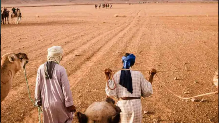 Camel caravan crossing Sahara dunes with travelers riding under warm light, creating a peaceful desert journey across vast sandy landscape