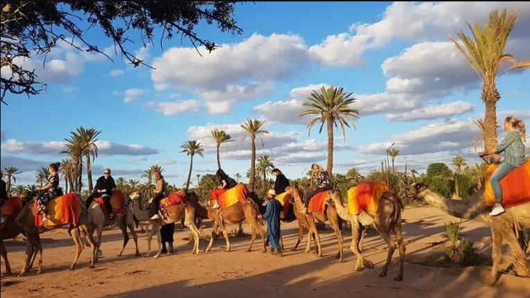 Camel trekking through Marrakech Palmeraie with palm groves, traditional attire, and guided cultural experience by Morocco Fun Tours