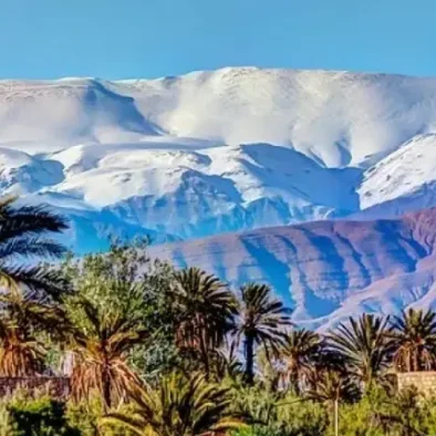 3 Day Tour From Marrakech to Fes 13 Lush palm oasis beneath snow covered High Atlas peaks with traditional clay villages and dramatic desert mountain scenery