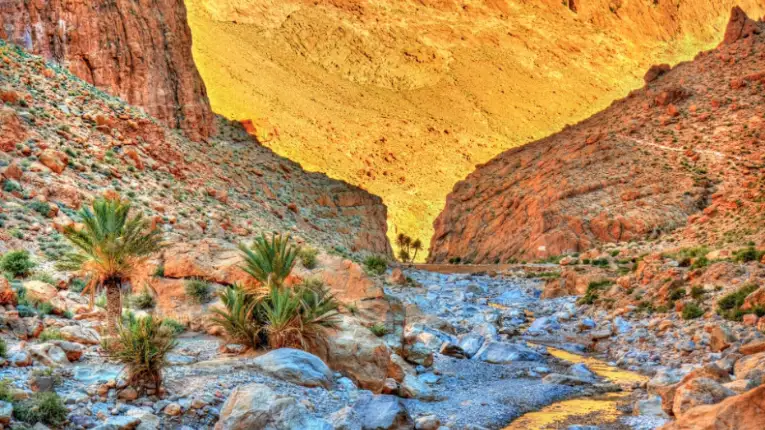 Todra Gorge with towering limestone cliffs and canyon trails, a scenic stop during the 3 day tour from marrakech to fes