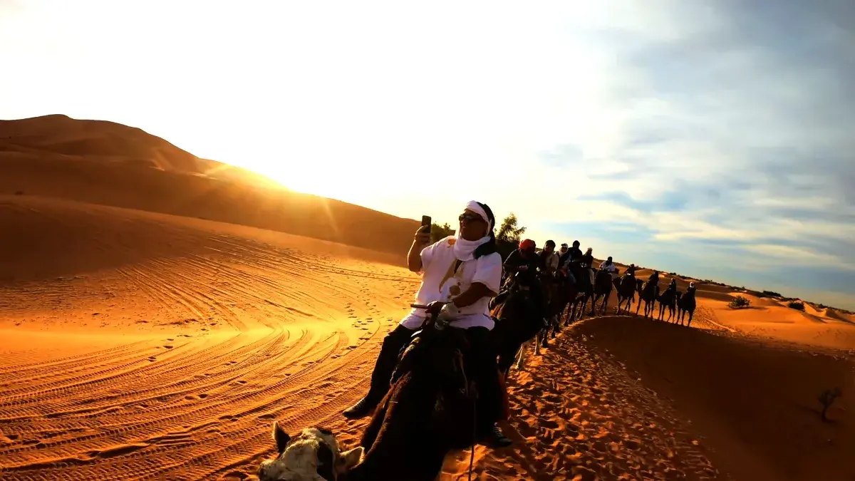 camel caravan erg chebbi sunset