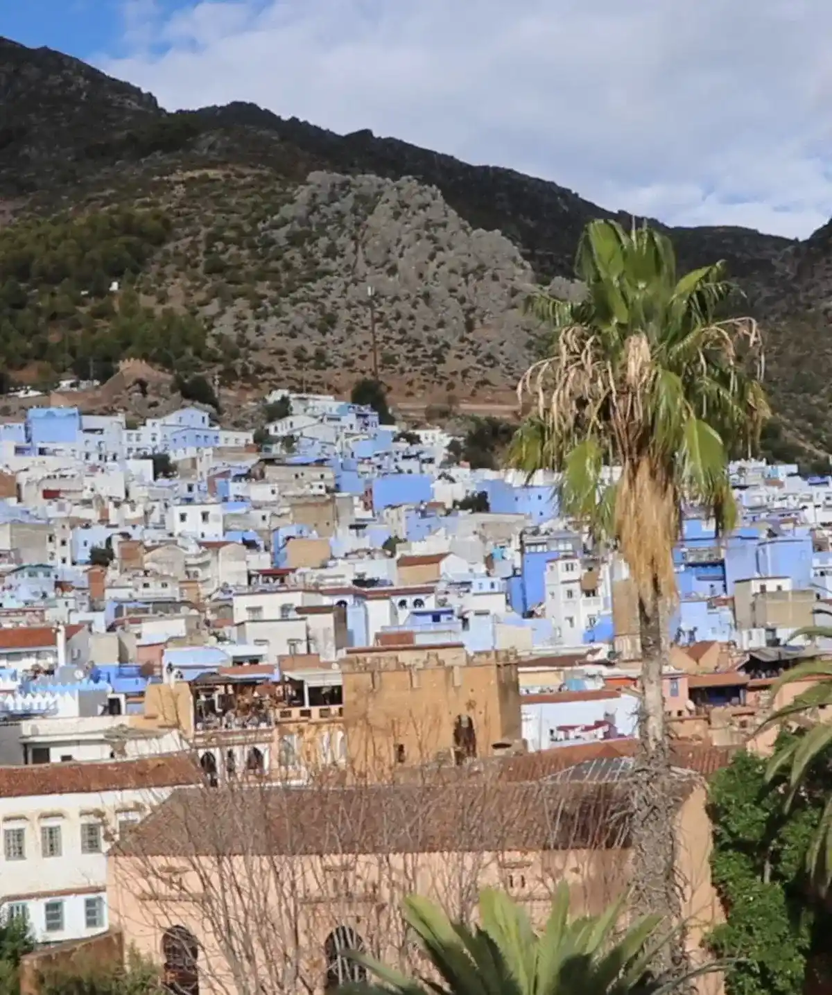 Home 7 Chefchaouen blue city with colorful buildings, mountain backdrop, and palm trees in northern Morocco