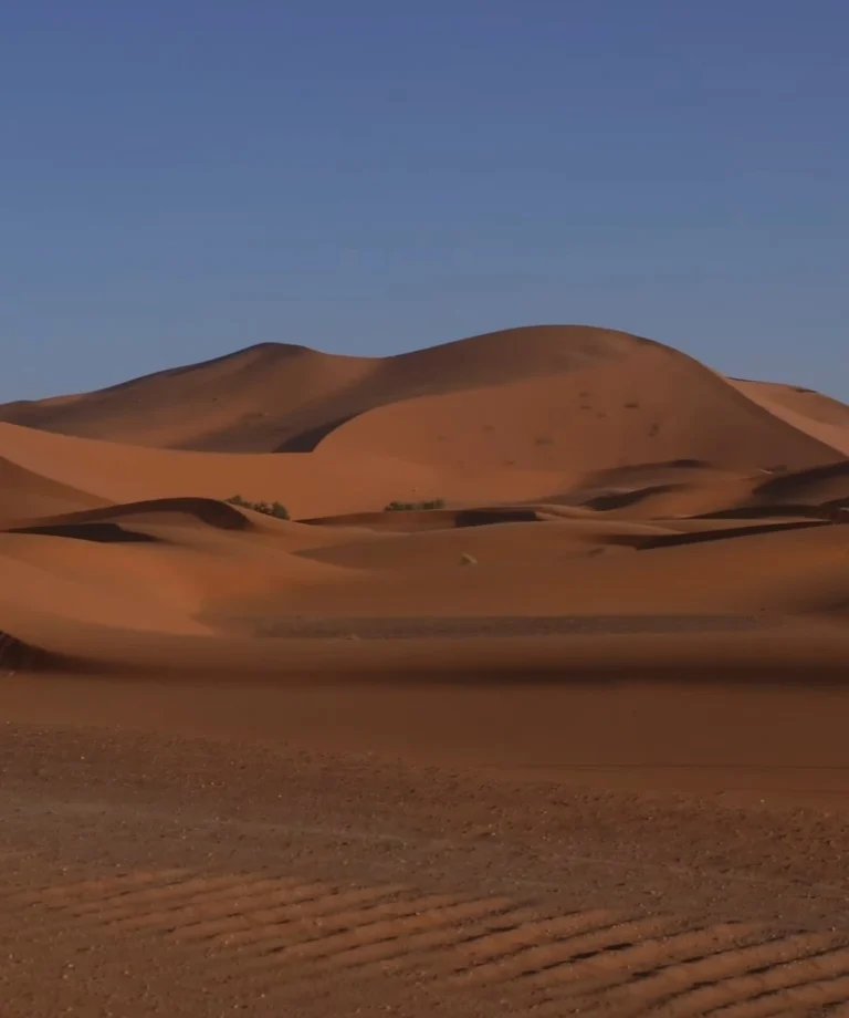 Golden Sahara Desert dunes stretching across the landscape beneath a clear sky in southern Morocco