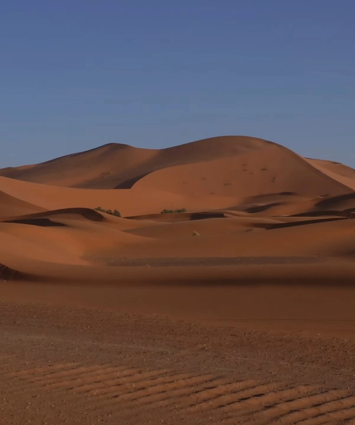 Home 10 Golden Sahara Desert dunes stretching across the landscape beneath a clear sky in southern Morocco